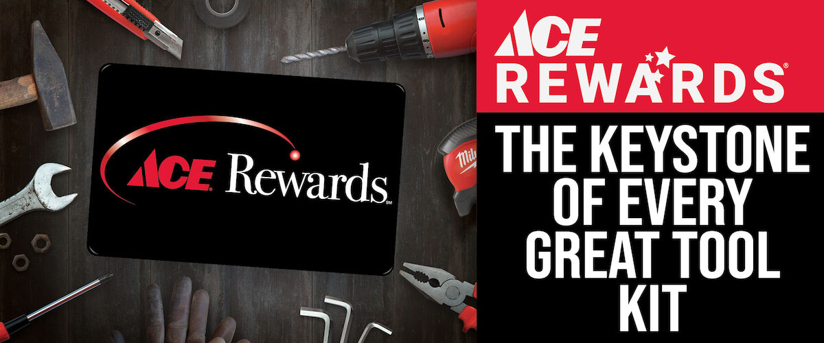 ACE Rewards January 2025 Promo